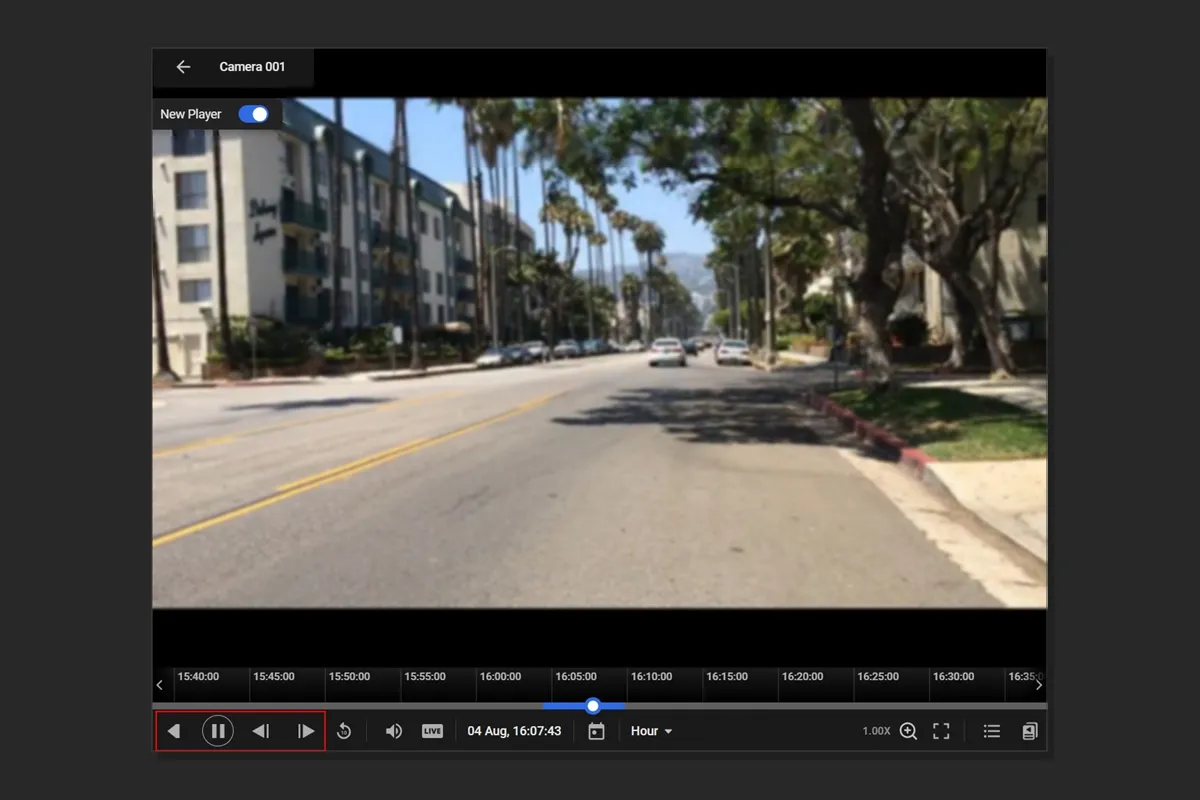 Frame-by-frame and reverse playback controls in the video player archive